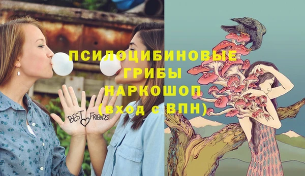 каннабис Куйбышев